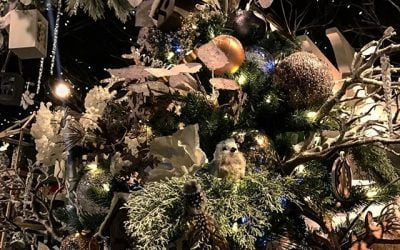 Deck the halls: Unwrapping 2023’s Christmas decorating stats #MABA #MassachusettsRealEstate #MaBuyerAgent #FirstTimeHomeBuyers