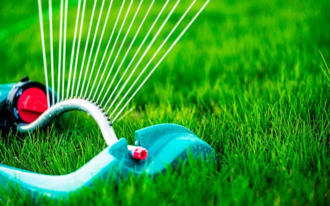How to Water a Lawn, and When: Odds Are, You’re Doing It All Wrong #MABA #MassachusettsRealEstate #FirstTimeHomeBuyers #MaBuyerAgent