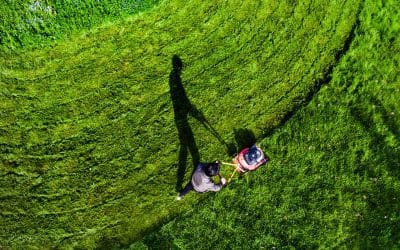 How to Aerate Your Lawn: A Lawn Lover’s Guide to Great Grass #MABA #MassachusettsRealEstate #FirstTimeHomeBuyers #MaBuyerAgent