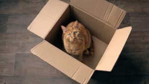  | homebuyer real estate buyers broker