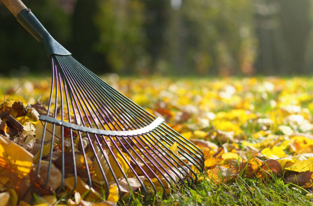 The Best Tools for Picking Up Leaves in Your Yard #MABA #MassachusettsRealEstate #MaBuyerAgent #FirstTimeHomeBuyers