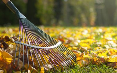The Best Tools for Picking Up Leaves in Your Yard #MABA #MassachusettsRealEstate #MaBuyerAgent #FirstTimeHomeBuyers