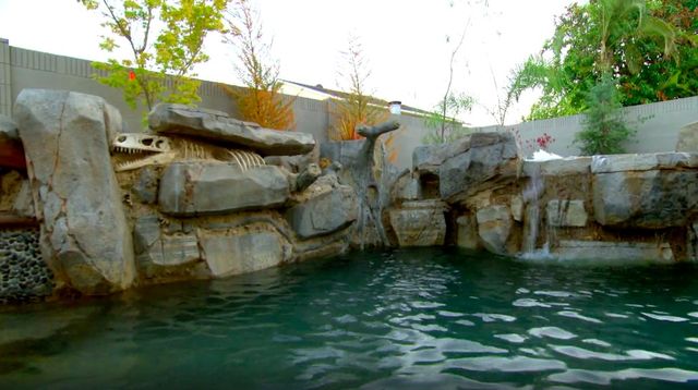 pool feature