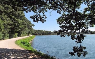 Chestnut Hill Reservoir, #chestnuthillma Living in Chestnut Hill #buyersagent #realestateagent #bostoncollege