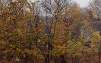 Rainy Fall Day #chestnuthill #chestnuthillma #buyeragent