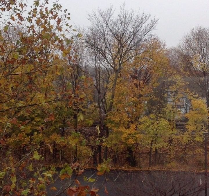 Rainy Fall Day #chestnuthill #chestnuthillma #buyeragent
