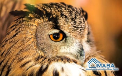 Be a wise old #HomeBuyer Be sure to have a #MABA #BuyersAgent #BuyersBroker represent you in your #RealEstate transaction. Have a #RealEstateAgent that’s loyal only to you!