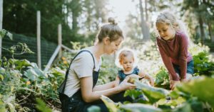 Family Harvesting Vegetables From Garden at Small Home Farm | Massachusetts Association of Buyer Agents | homebuyer real estate buyers broker