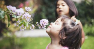 Toddler girl smelling flowers In garden | Massachusetts Association of Buyer Agents | homebuyer real estate buyers broker
