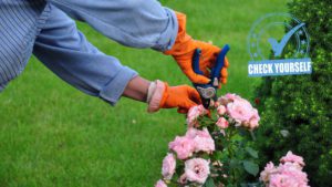 gardening | Massachusetts Association of Buyer Agents | homebuyer real estate buyers broker