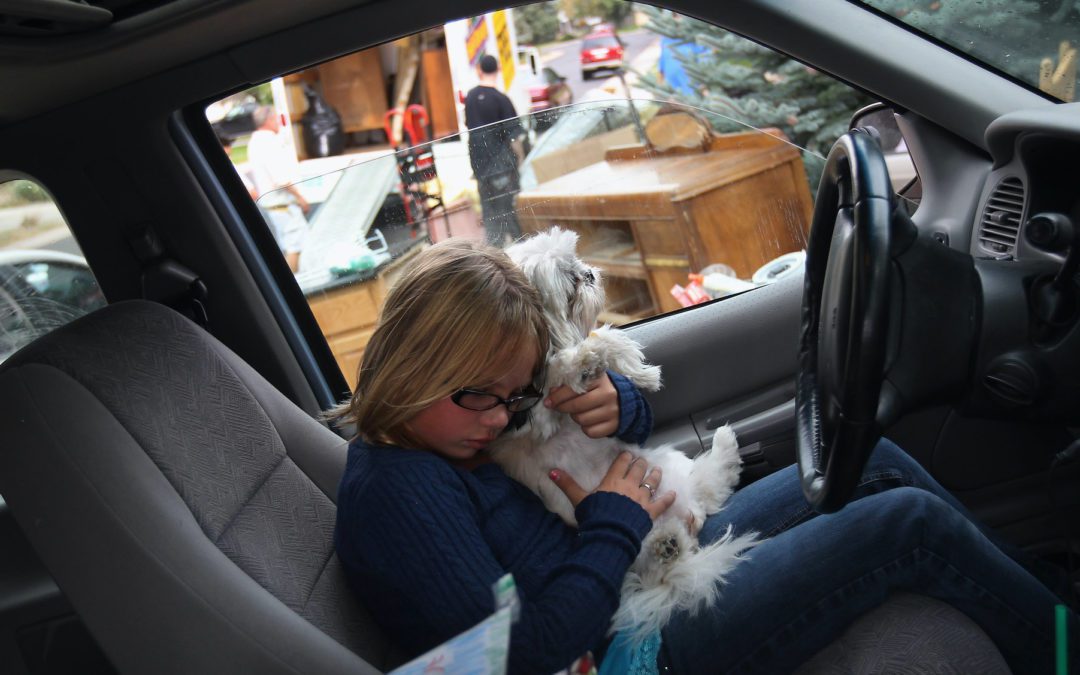 #CDC imposes #renters #eviction moratorium through 2020 #HomeBuyer #Investment #RealEstate