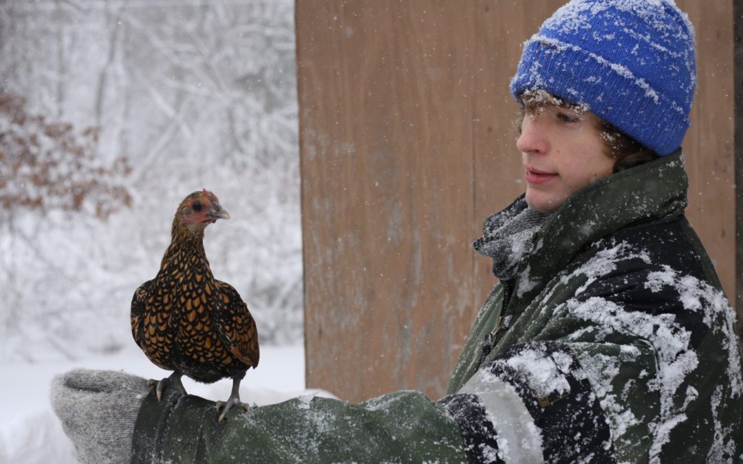 Your #RealEstateAgent keeping you at arm’s lenght? Getting the cold shoulder? Don’t chicken out! Find a #MABA #BuyersAgent that will work for you and only you.