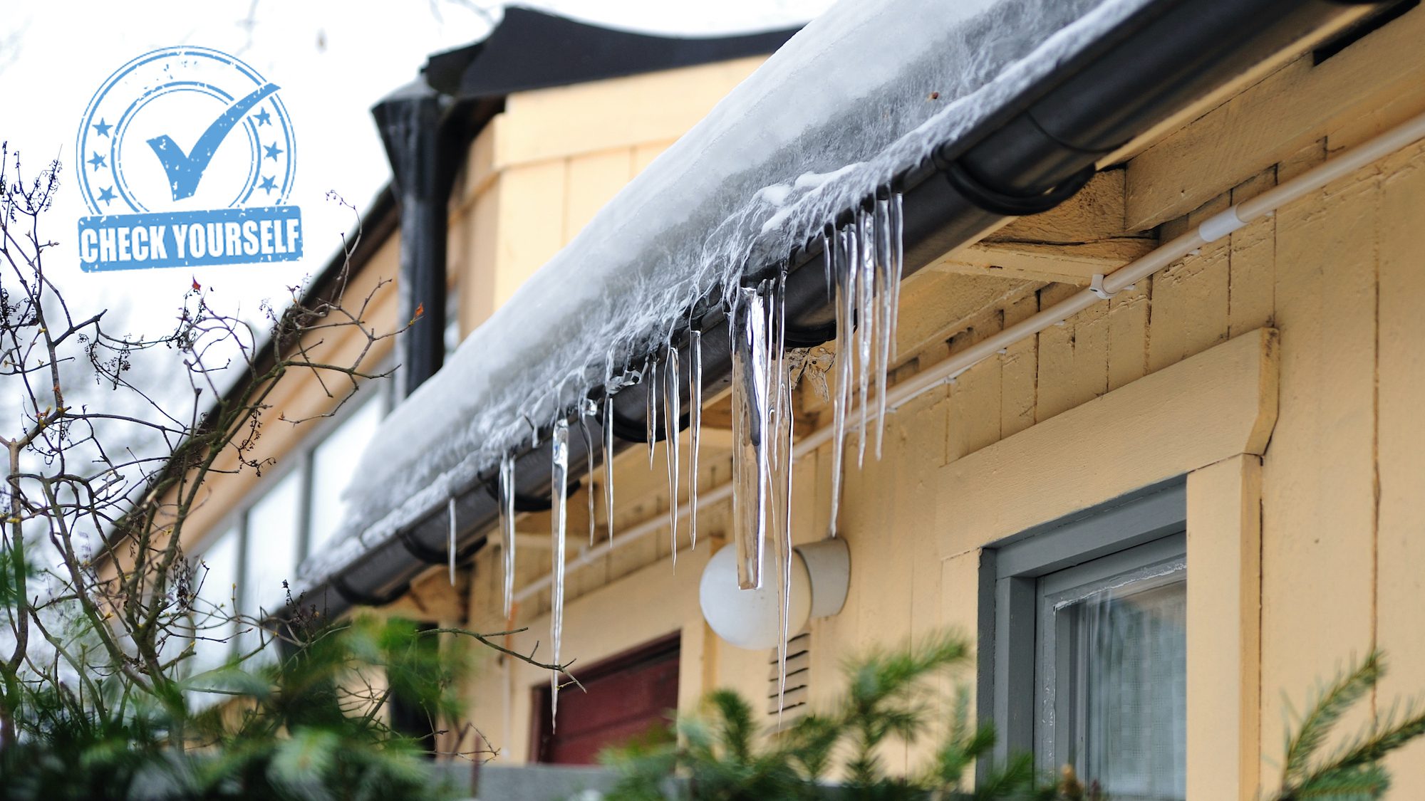 Icicles haning from the gutter