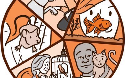 Foods in Your Home That are Harmful to Pets #MABA MassachusettsRealEstate #FirstTimeHomeBuyers #MaBuyerAgnet