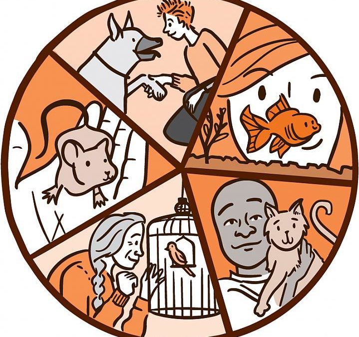 Pets are influencing housing decisions, post pandemic: #Massachusetts #Homebuyers #Homeownership