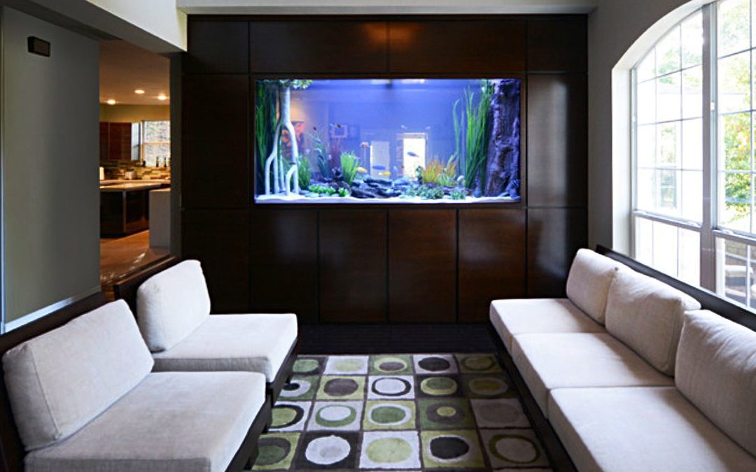How a Luxe Fish Tank Can Look: An Aquarium Upgrade: #Massachusetts #Homebuyers #Homeownership