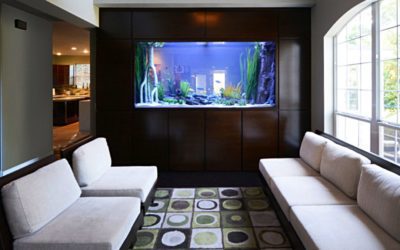 How a Luxe Fish Tank Can Look: An Aquarium Upgrade: #Massachusetts #Homebuyers #Homeownership