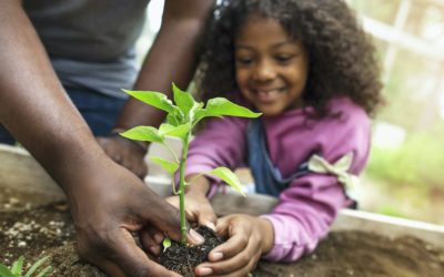 Six Steps To Have a Child- Plant Friendly Garden #MABA #MassachusettsRealEstate #FirstTimeHomeBuyers #MaBuyerAgent