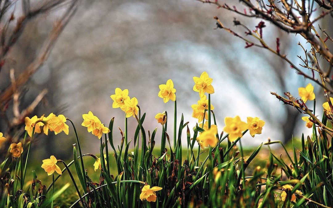 Spring brings challenges for first time and prospective homebuyers: #Massachusetts #Homebuyers #Homeownership