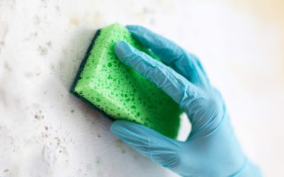 Brown Streaks on the Bathroom Wall Are Gross. So Where Do They Come From?: #Massachusetts #Homeownership #Homeowners