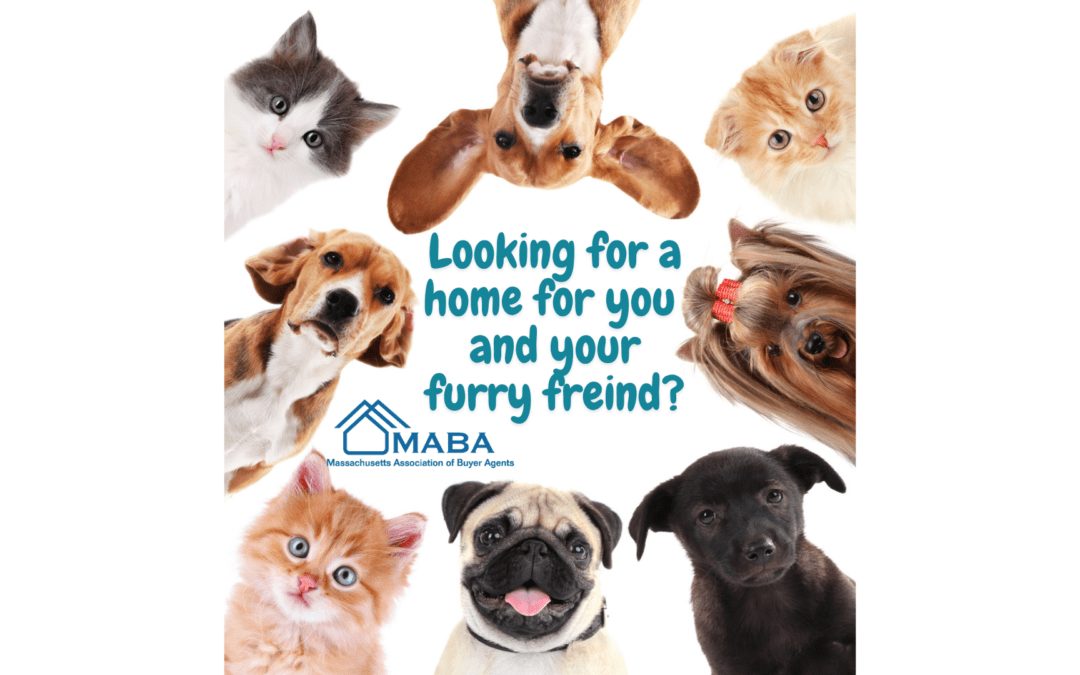 Have Pets? Looking for a new home? #Homebuyers #FistTimeBuyer #Massachusetts