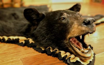 Pushing Your Luck? Surprising Things in Your Home That Give Off Bad Juju: #Massachusetts #HomeBuyers #HomeSellers