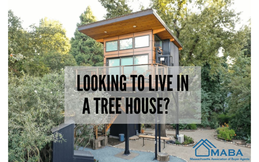 Want to live where the birds are? #Massachusetts #MABA #TreeHouse
