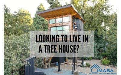 Want to live where the birds are? #Massachusetts #MABA #TreeHouse