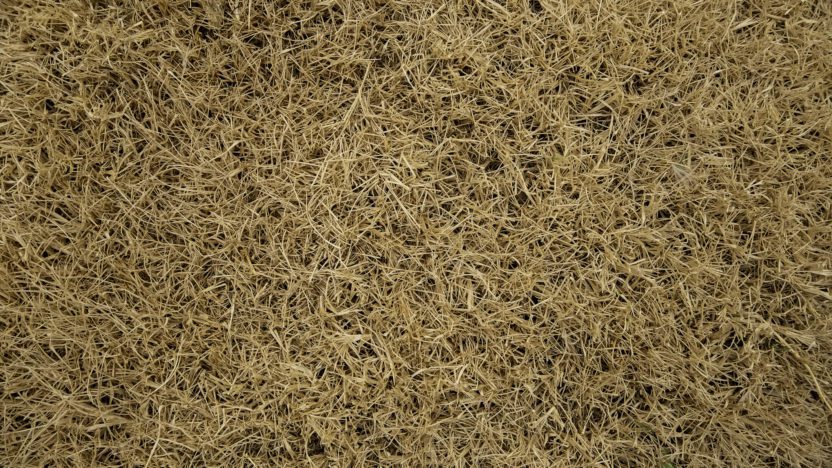  | homebuyer real estate buyers broker