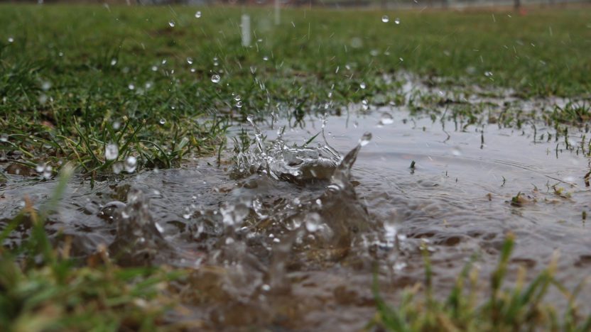  | homebuyer real estate buyers broker