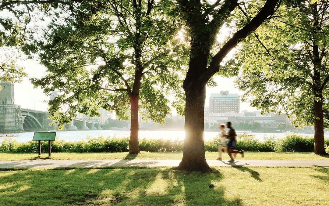 America’s Safest—and Most Dangerous—States Today May Come as a Huge Surprise 