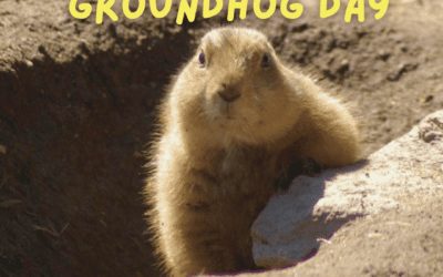 Happy Groundhog Day!