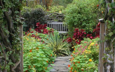 Eight Low-Maintenance Plants for Easy Landscaping #MABA #MassachusettsRealEstate #MaBuyerAgent #FirstTimeHomeBuyers