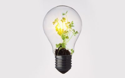 Save Money (and the Planet): An Energy Efficient Mortgage, Explained #MABA #MassachusettsRealEstate #FirstTimeHomeBuyers #MaBuyerAgent