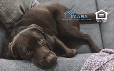 New YouTube Video Alert! Can You Or Can’t You Have Your Pet? #MABA #MassachusettsRealEstate #FirstTimeHomeBuyers #MaBuyerAgent