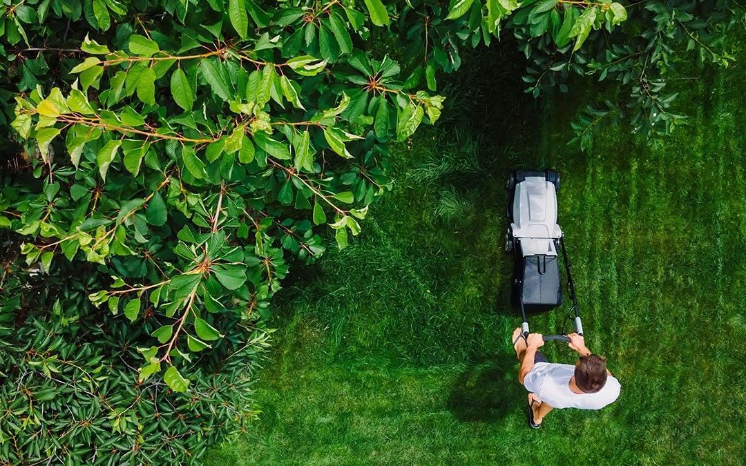 It’s All About Curb Appeal: The Simple Landscaping Task That Can Boost Your Home’s Value the Most #MABA #MassachusettsRealEstate #FirstTimeHomeBuyers #MaBuyerAgent