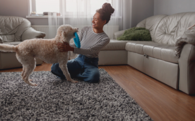 Updating Your Home Insurance Policy #MABA #MassachusettsRealEstate #FirstTimeHomeBuyers #MaBuyerAgent