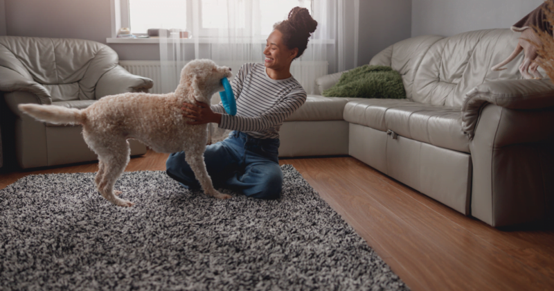 Updating Your Home Insurance Policy #MABA #MassachusettsRealEstate #FirstTimeHomeBuyers #MaBuyerAgent