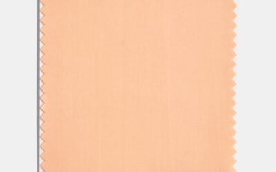 2024 Color of the year is……Peach Fuzz #MABA #MassachusettsRealEstate #FirstTimeHomeBuyers #MaBuyerAgnet