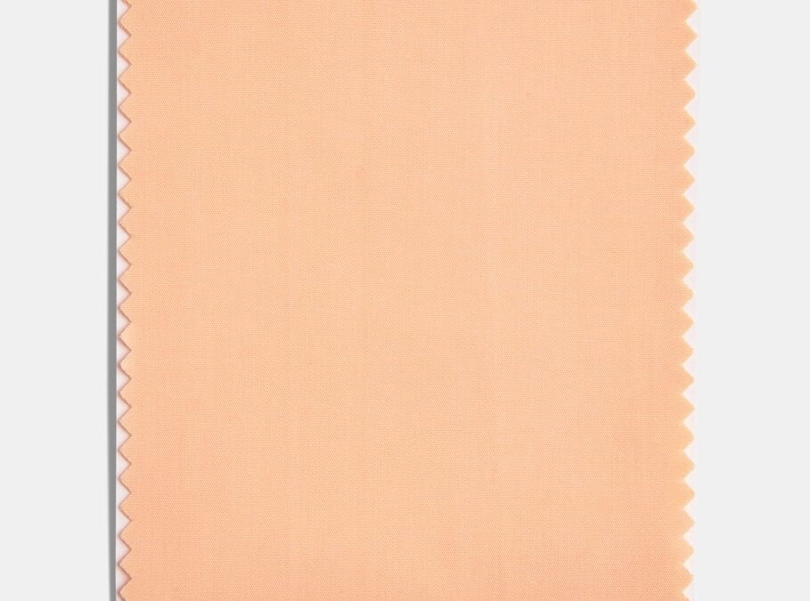 2024 Color of the year is……Peach Fuzz #MABA #MassachusettsRealEstate #FirstTimeHomeBuyers #MaBuyerAgnet